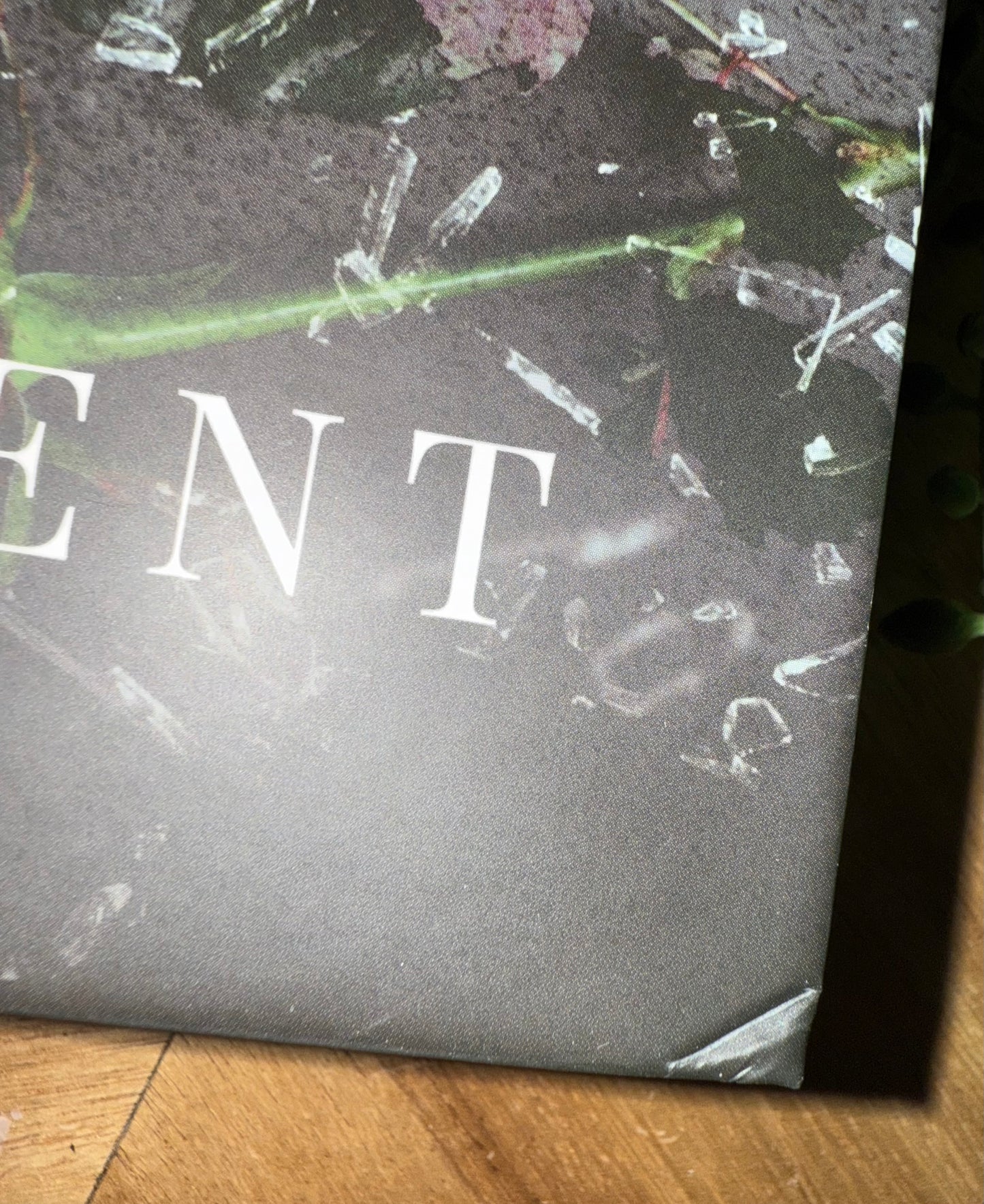 Valentino Heirs Omnibus - Damaged Kickstarter Hardcover