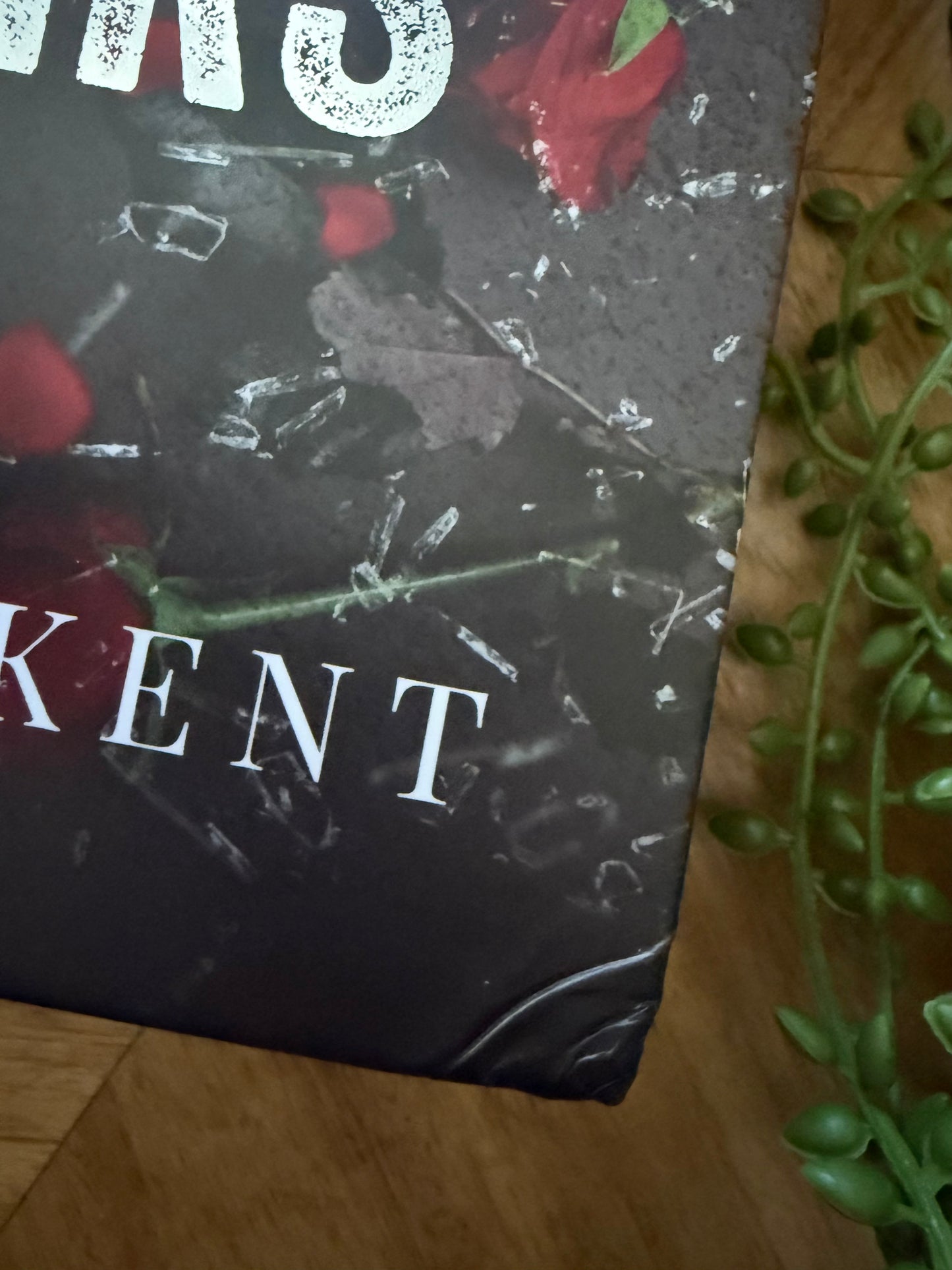 Valentino Heirs Omnibus - Damaged Kickstarter Hardcover