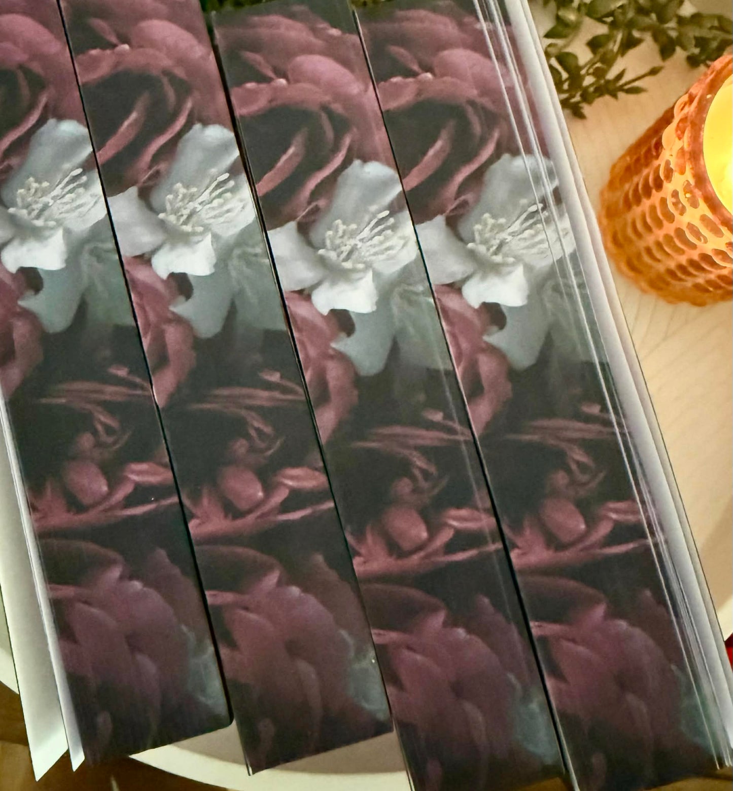 Dead or Alive - special edition paperback