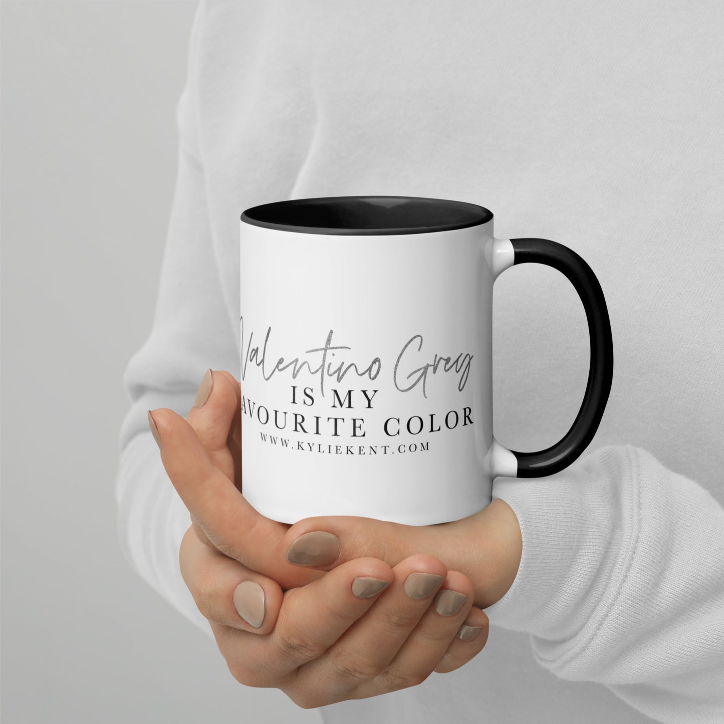 Valentino Grey Mug with Color Inside