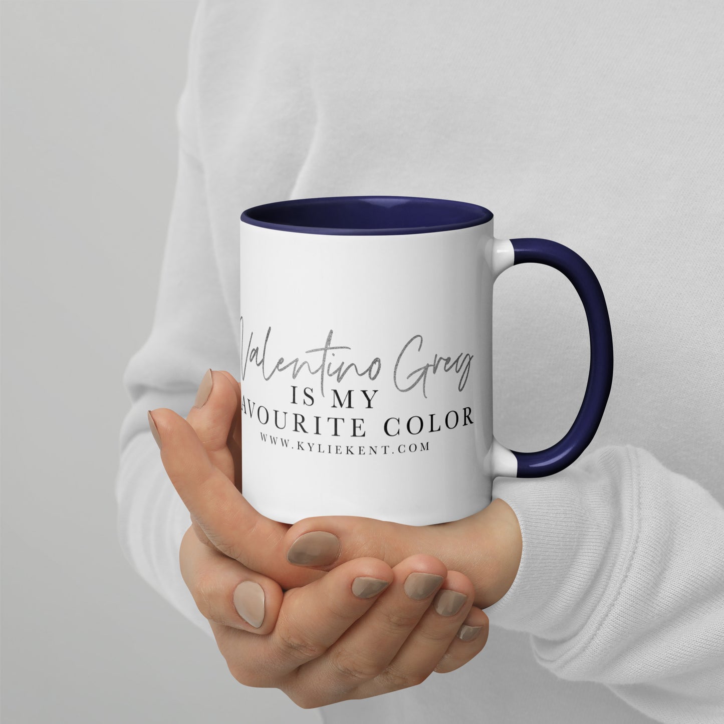 Valentino Grey Mug with Color Inside