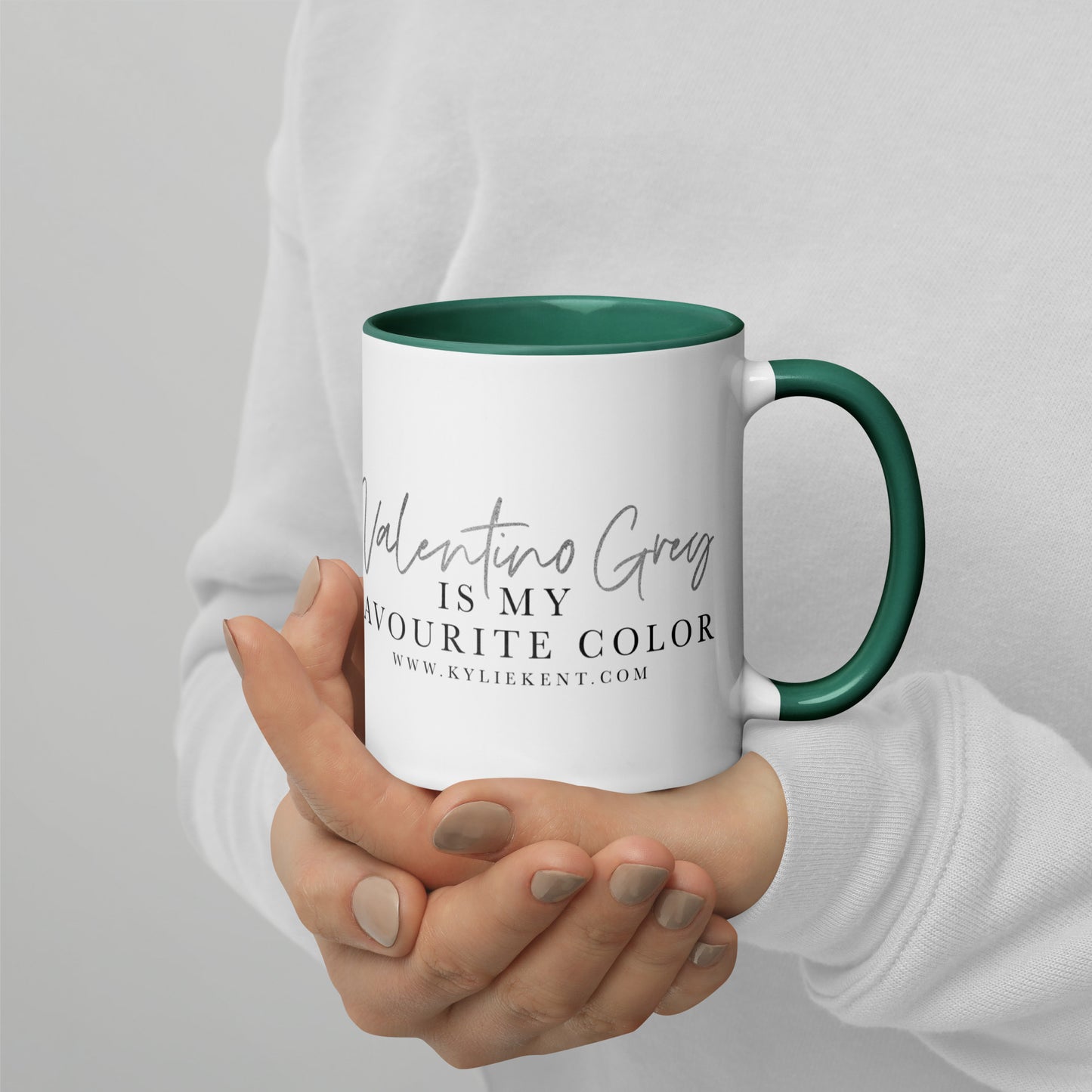 Valentino Grey Mug with Color Inside