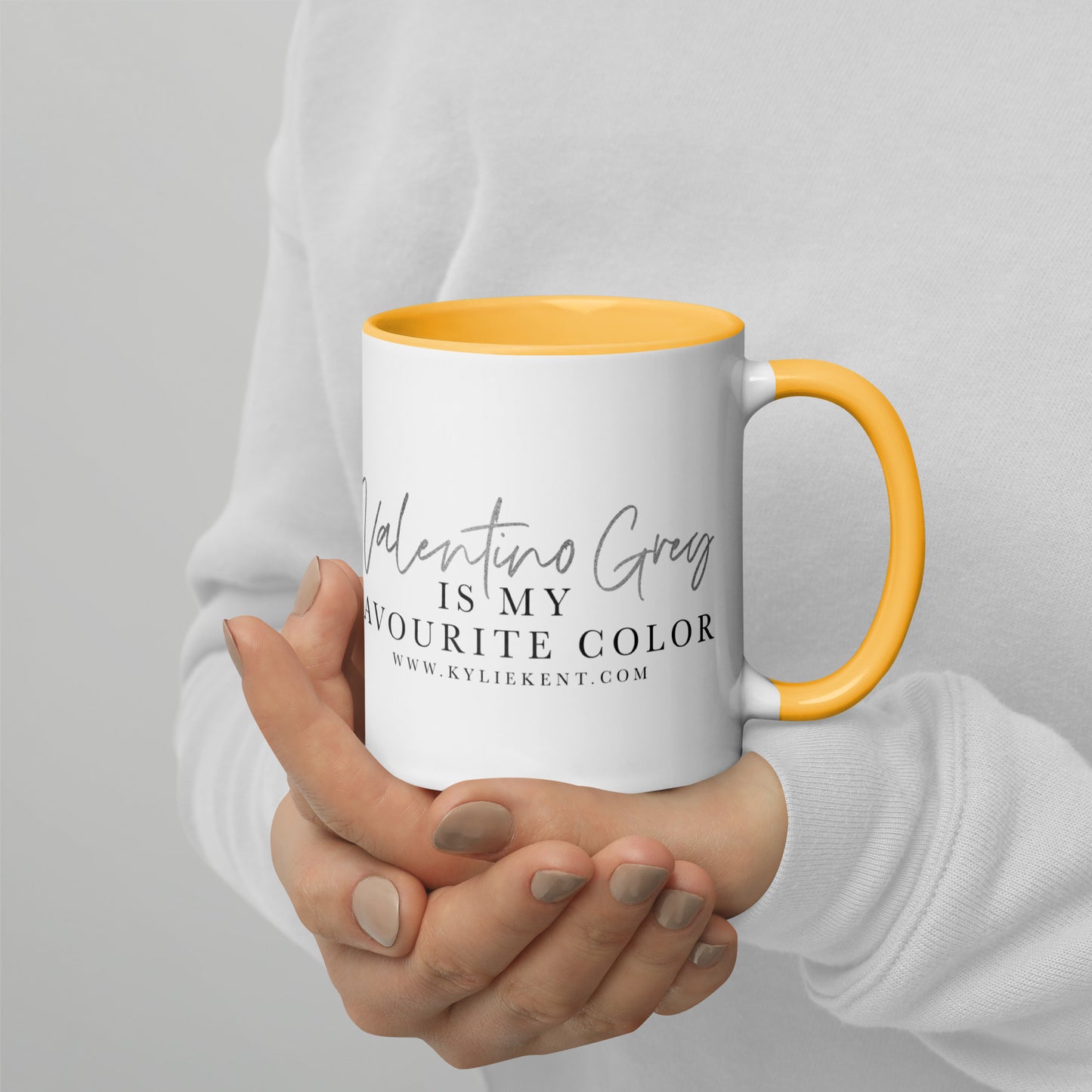 Valentino Grey Mug with Color Inside