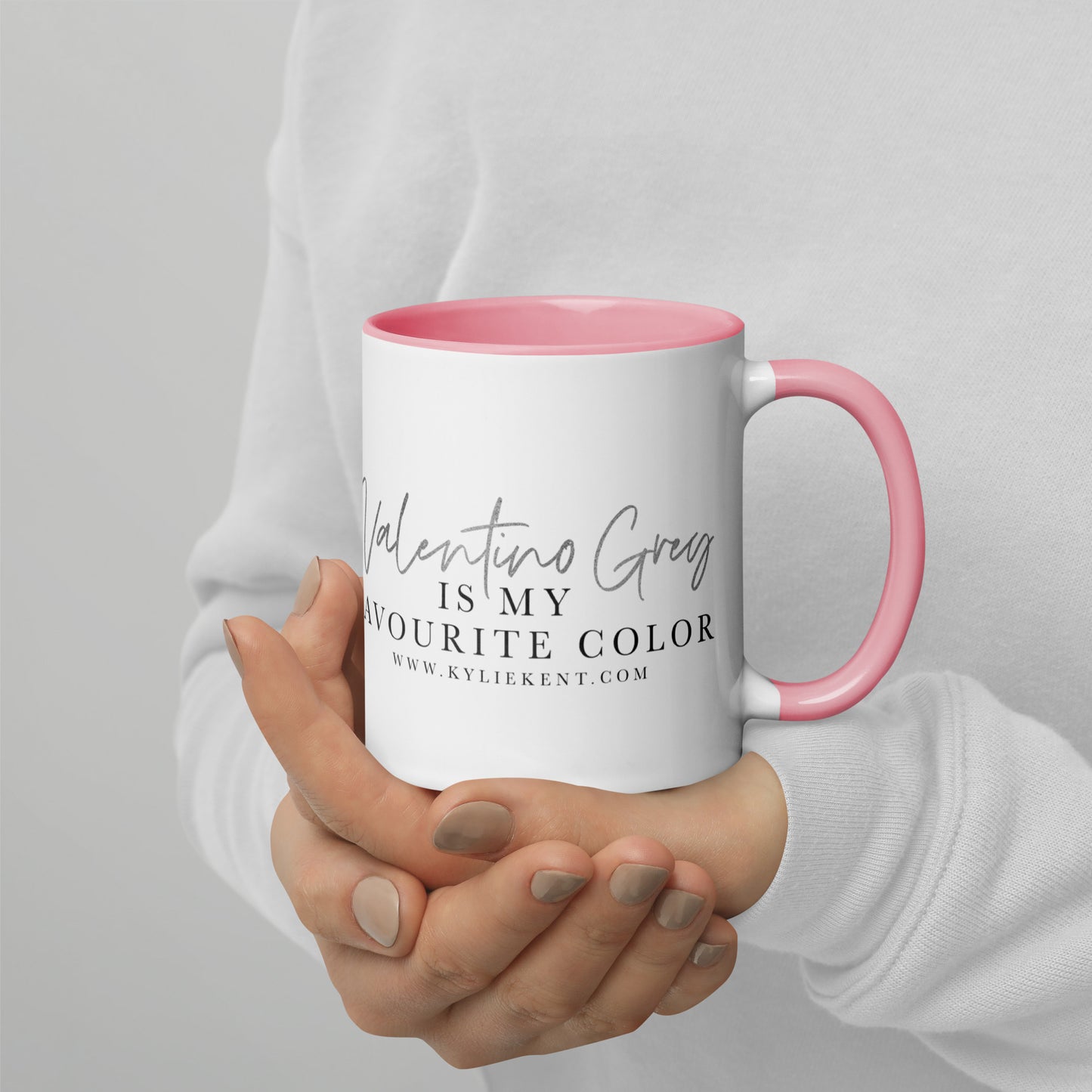 Valentino Grey Mug with Color Inside