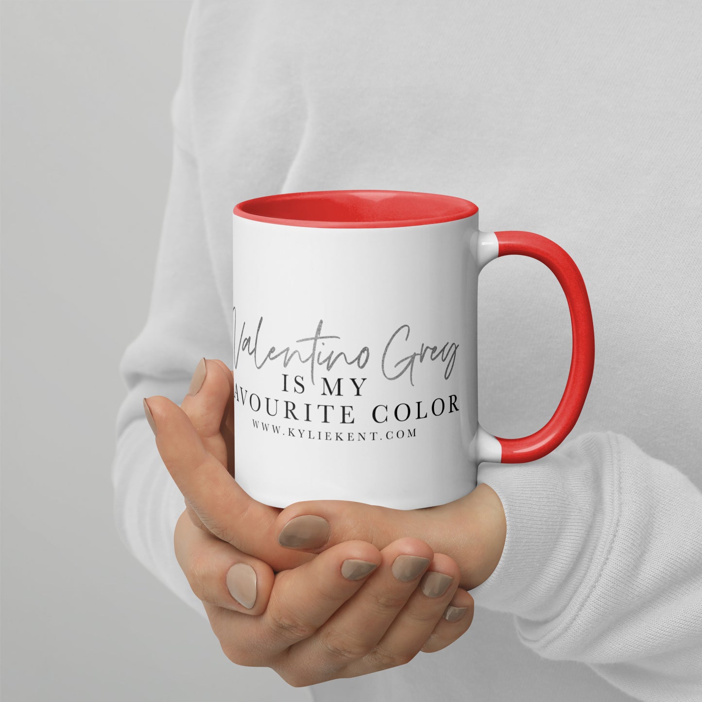 Valentino Grey Mug with Color Inside