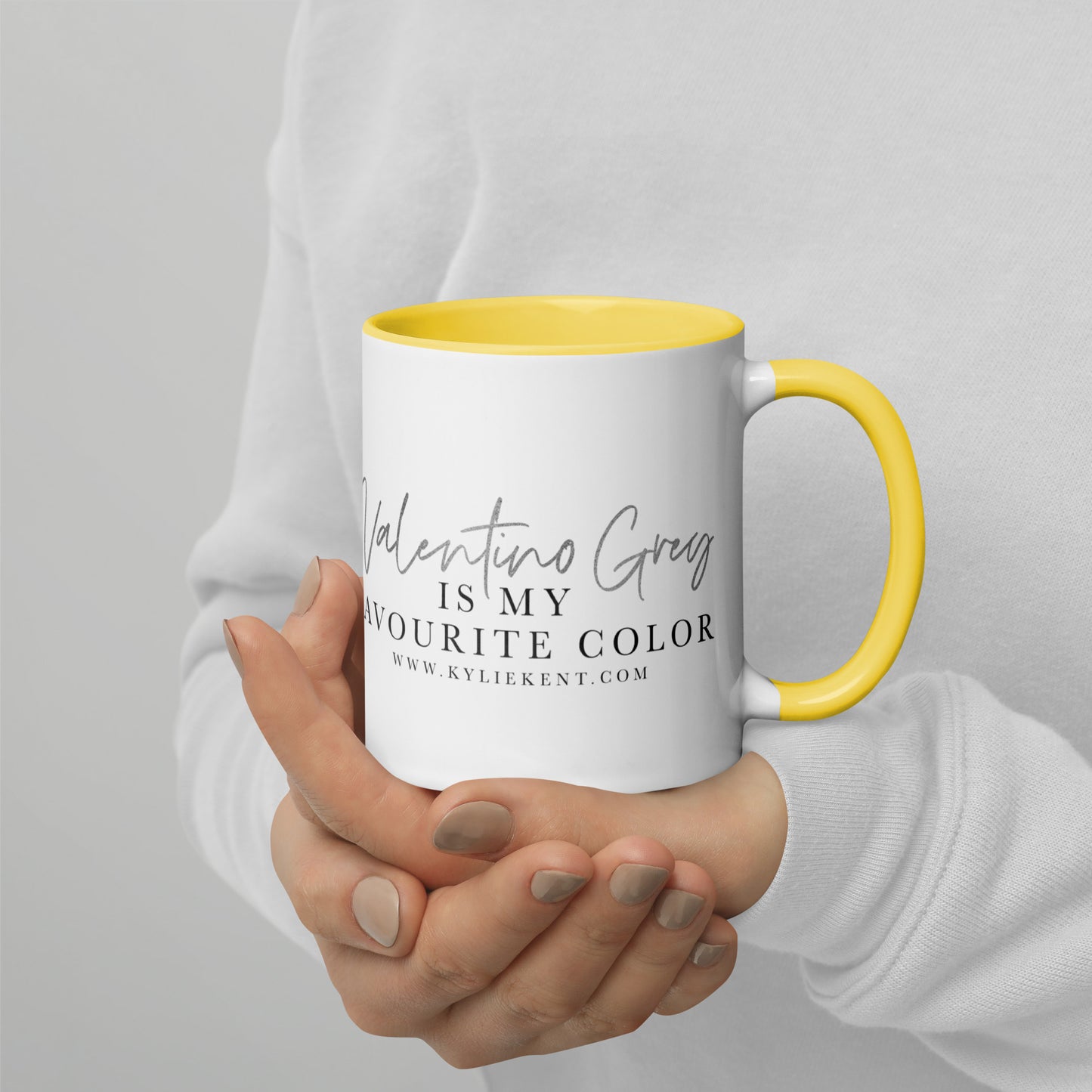 Valentino Grey Mug with Color Inside